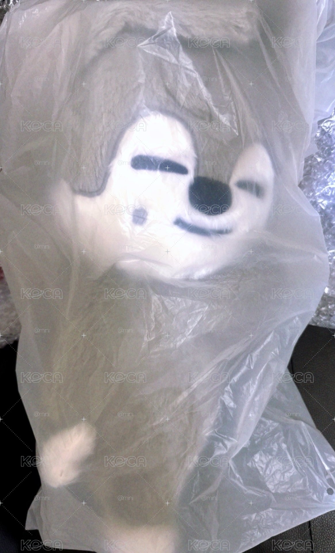燦狼 斜背娃 全新未拆