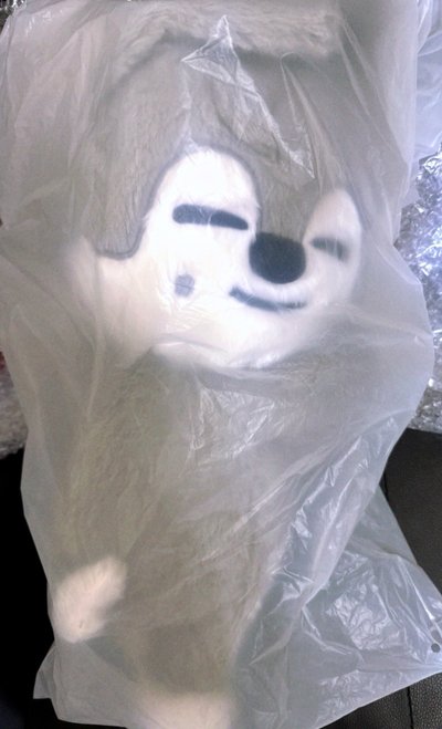 燦狼 斜背娃 全新未拆