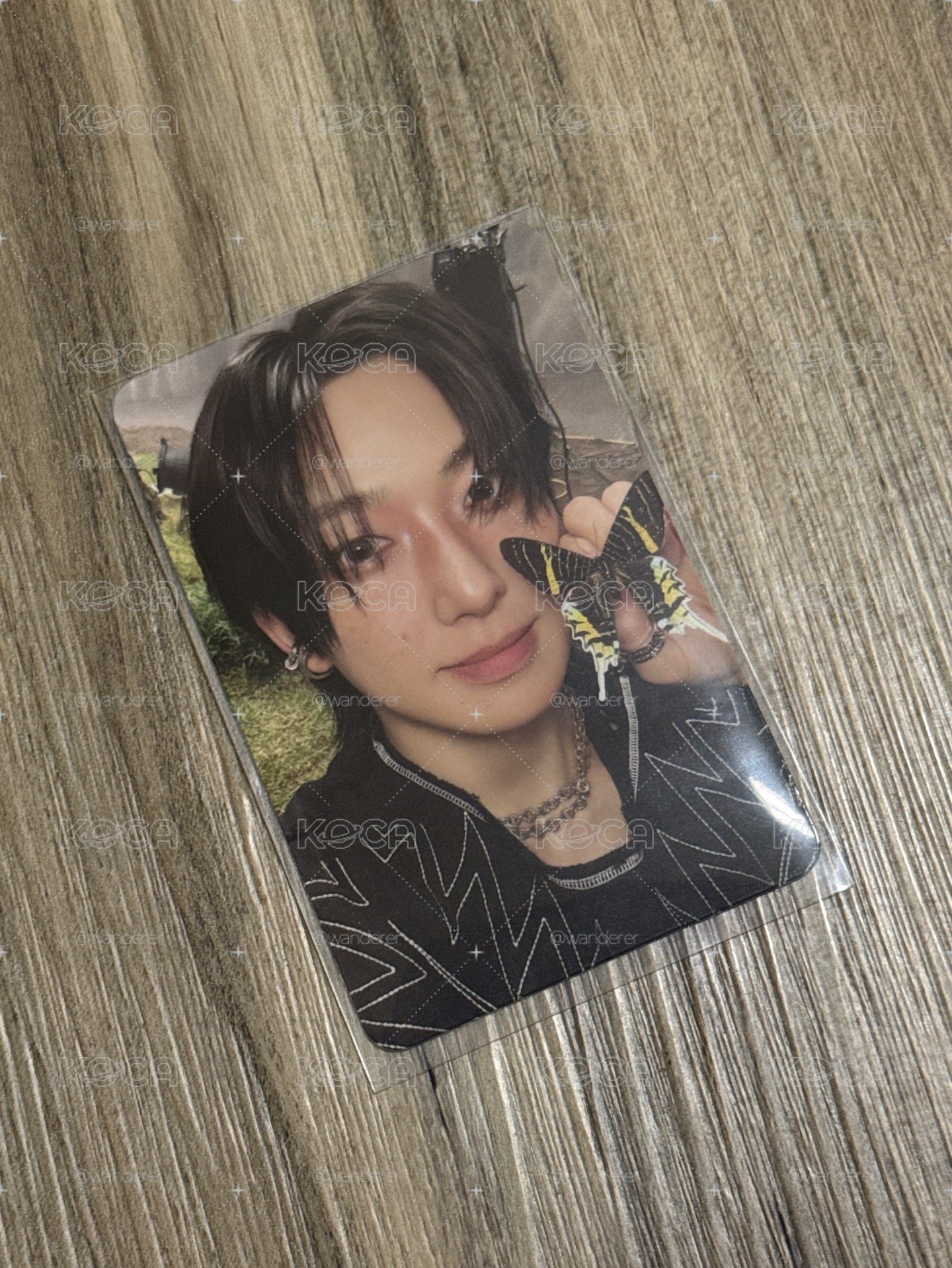 BTL 專輯卡 ROAR ver. B版
