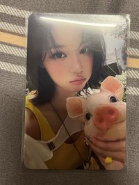 🐷冬