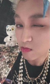 4REASONS 周邊卡 uz熊雙面小卡