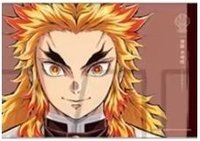 柱展 隨機卡 畫布卡