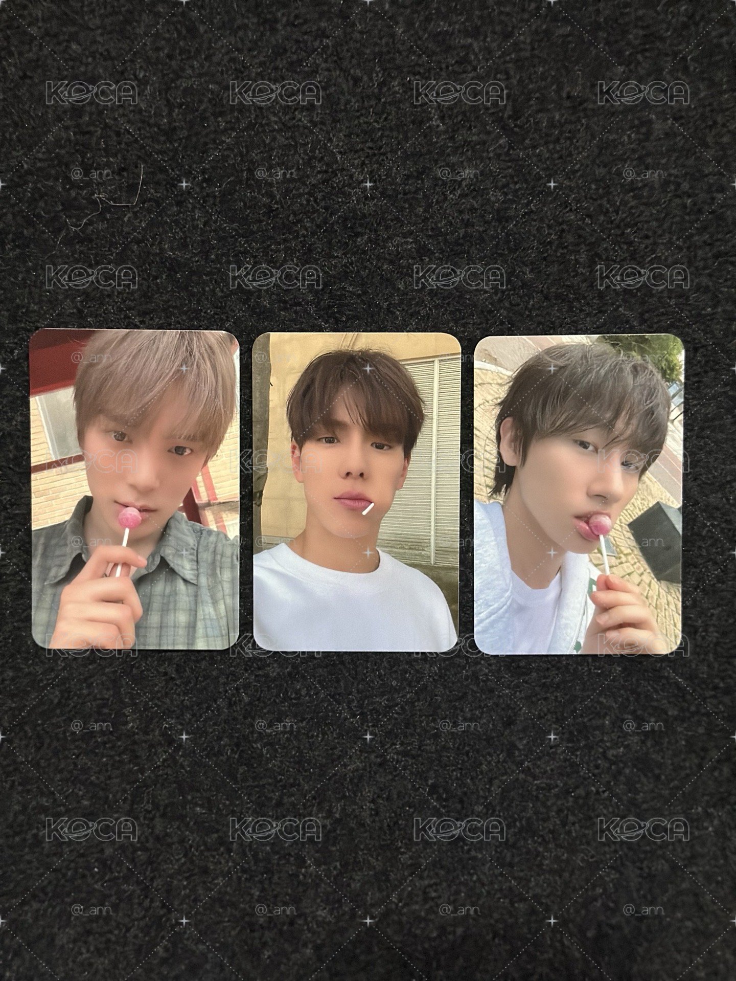 THE X SW 預售特典卡🐻🐶🐈‍⬛