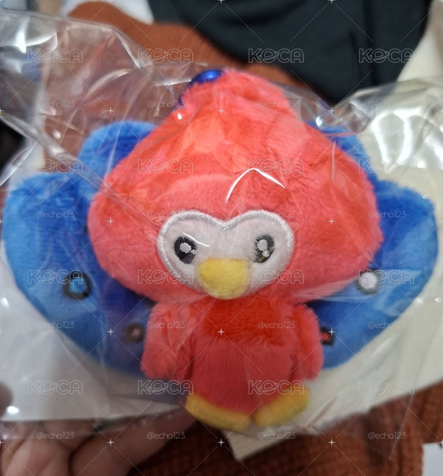 SS10 日巡 日本 希澈 澈娃 孔雀
