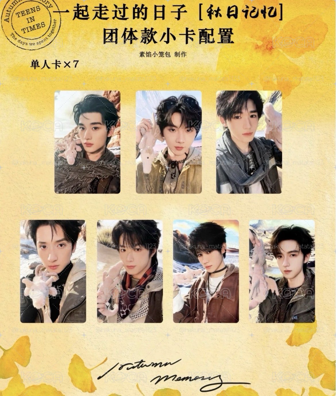 🐿️時代少年團 秋日記憶團固卡