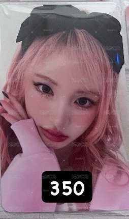 目測無損 中文卡背 ：人你可以摸摸栗子貓貓