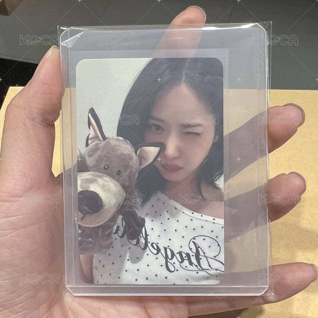 信飛 SINB