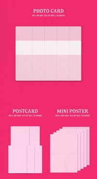 特別版 專輯配置