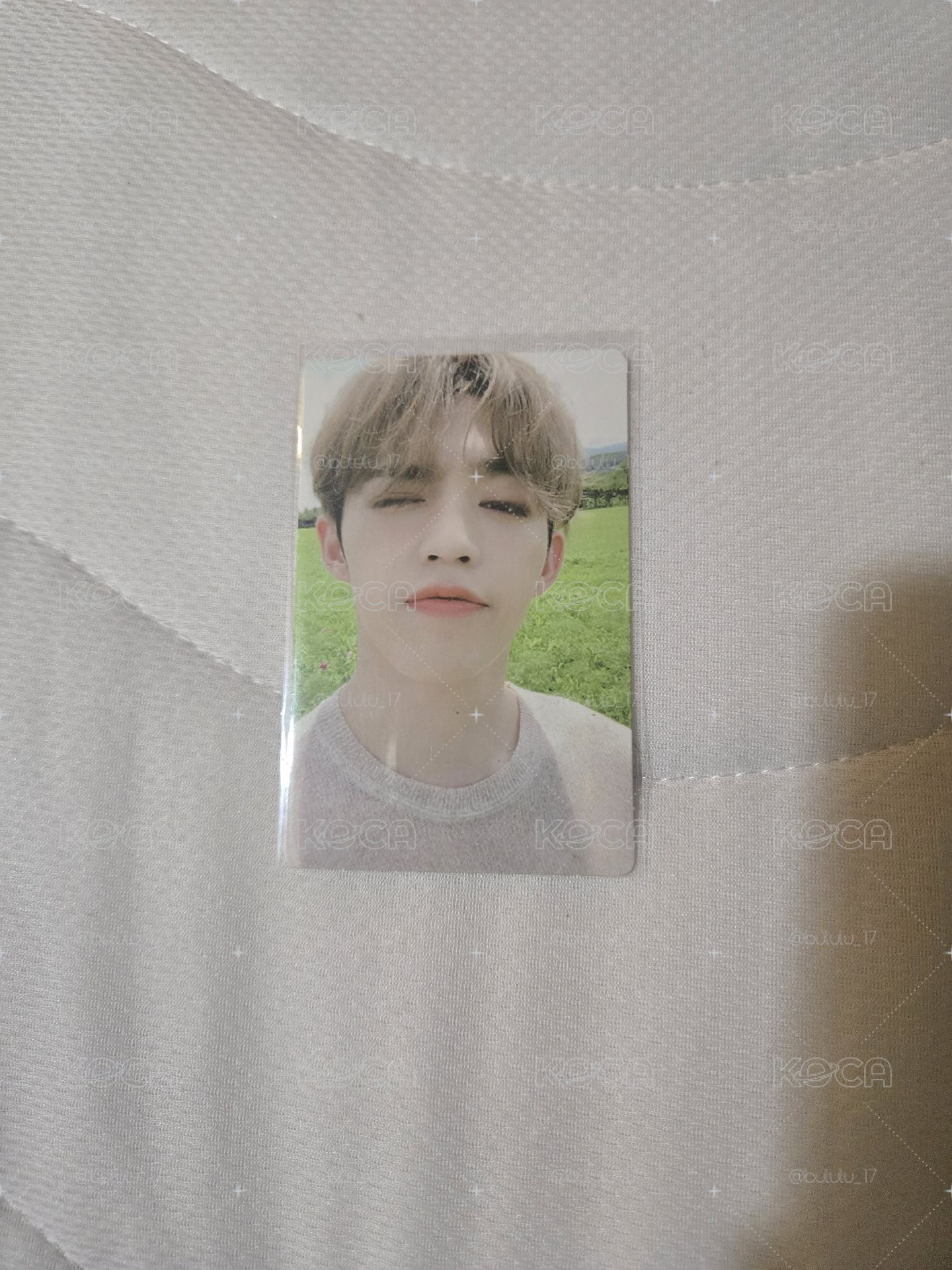 S.coups An ode專卡