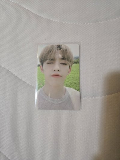 S.coups An ode專卡