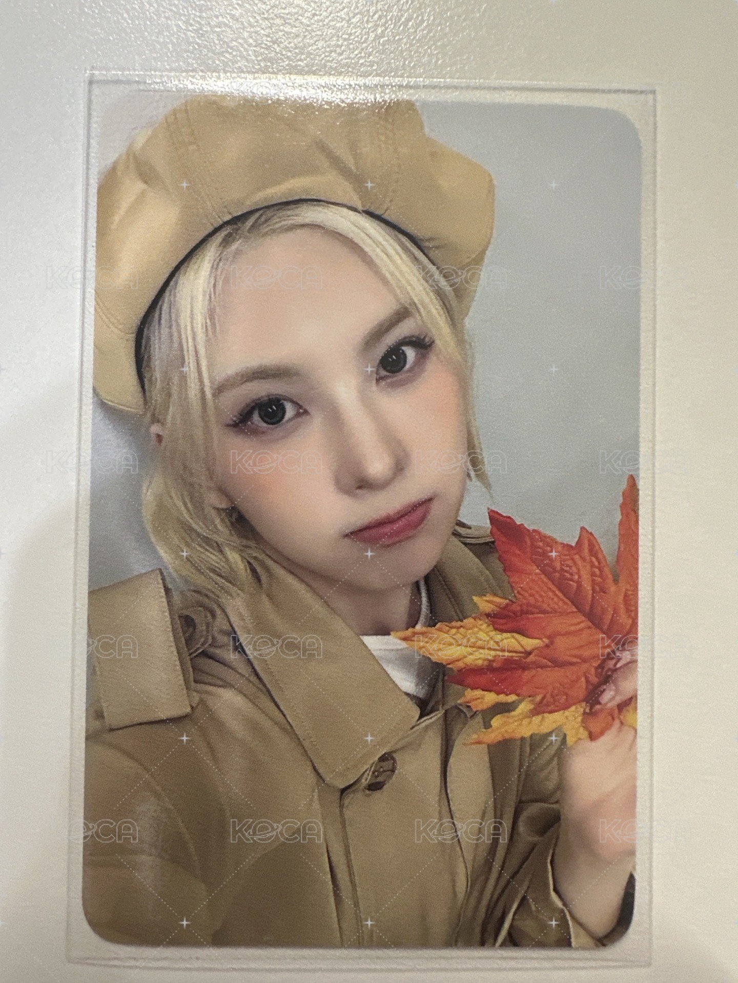 楓葉