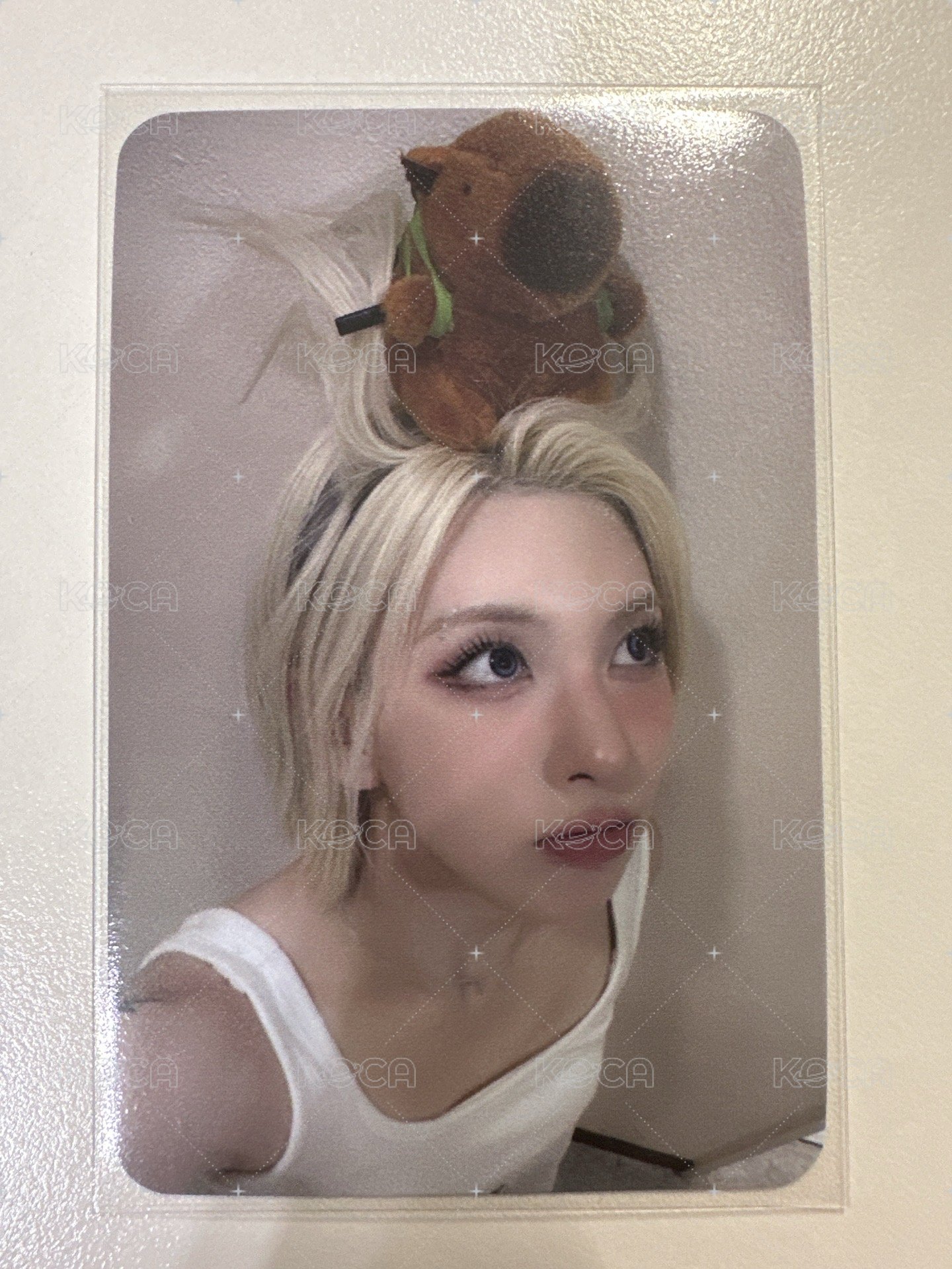頭上有什麼