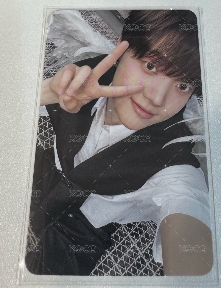 BTL 專輯卡 WVS Albums ver