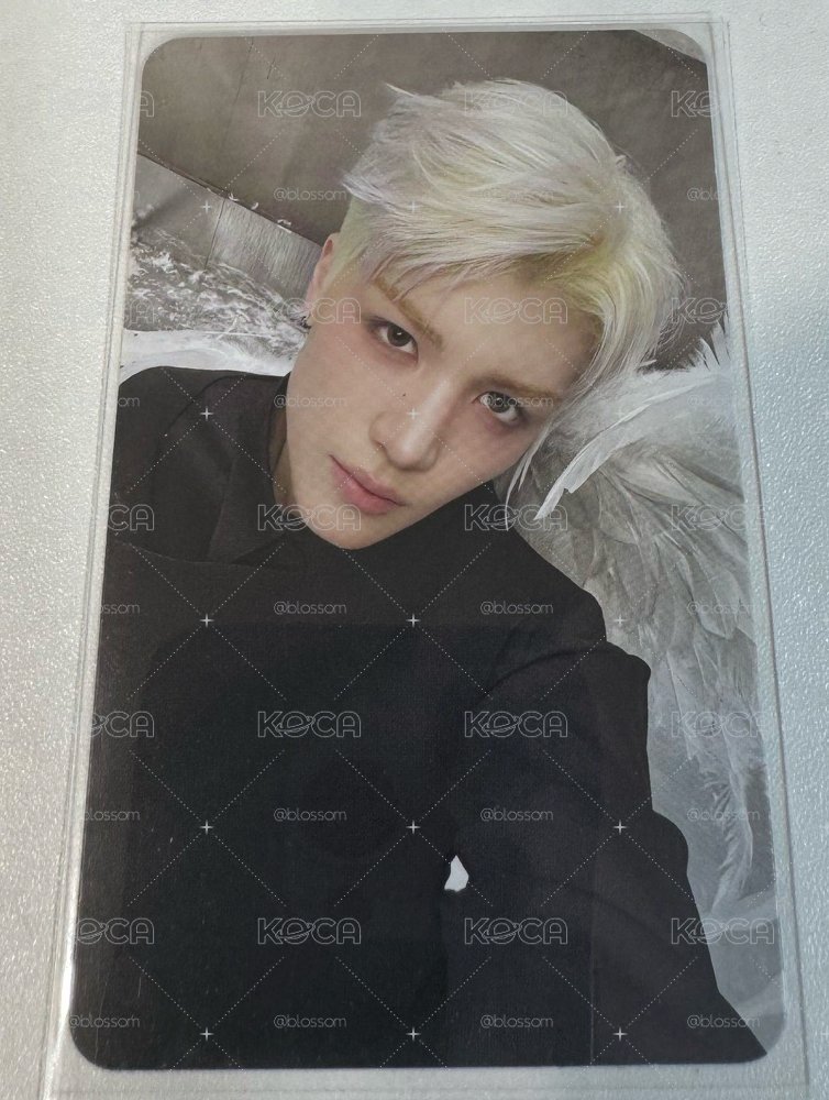 BTL 專輯卡 WVS Albums ver 台灣場限