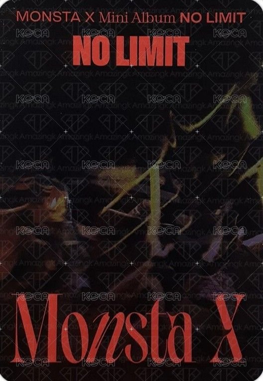 NO LIMIT 專輯卡 v3 背面