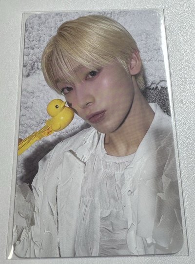 金善禹Sunoo 迷六 正二後續 正二 專輯卡 特典卡