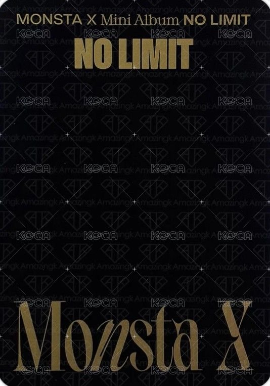 NO LIMIT Limited 專輯卡  背面