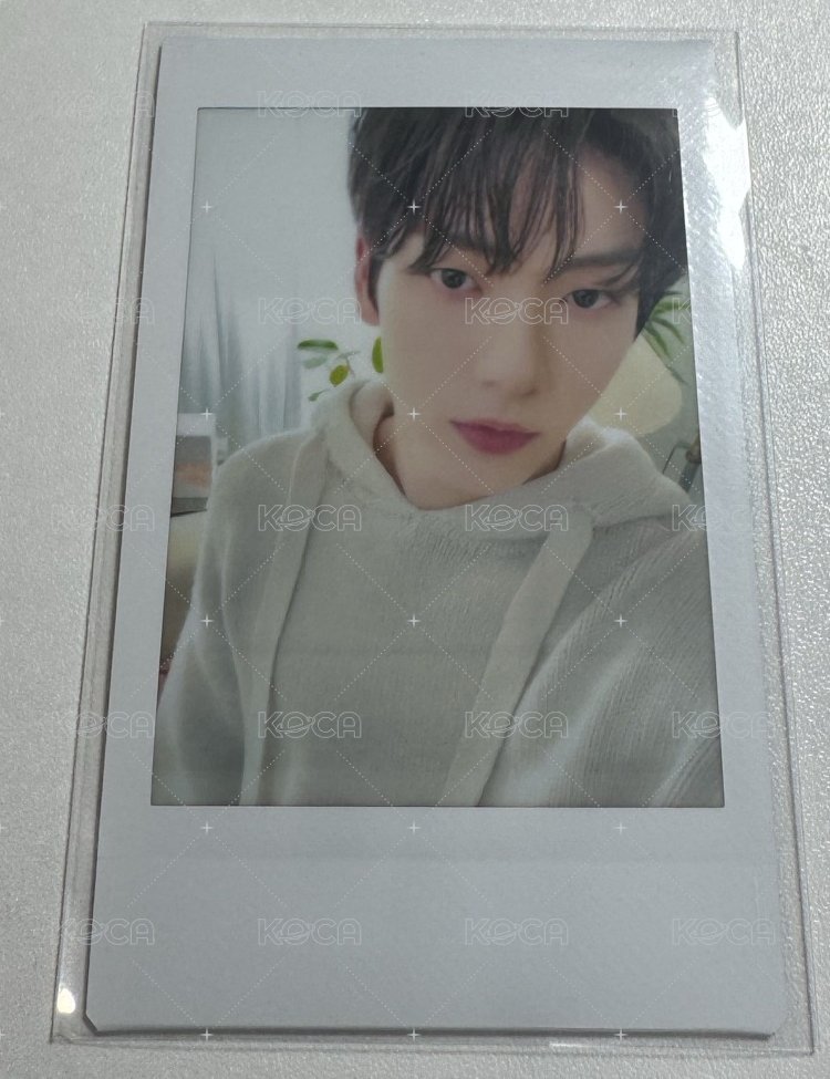 2024 DREAM WEEK 隨機卡 拍立得