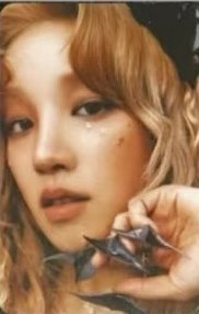 2025 七週年展覽 周邊卡 