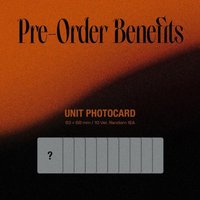 NO LIMIT pb專船特