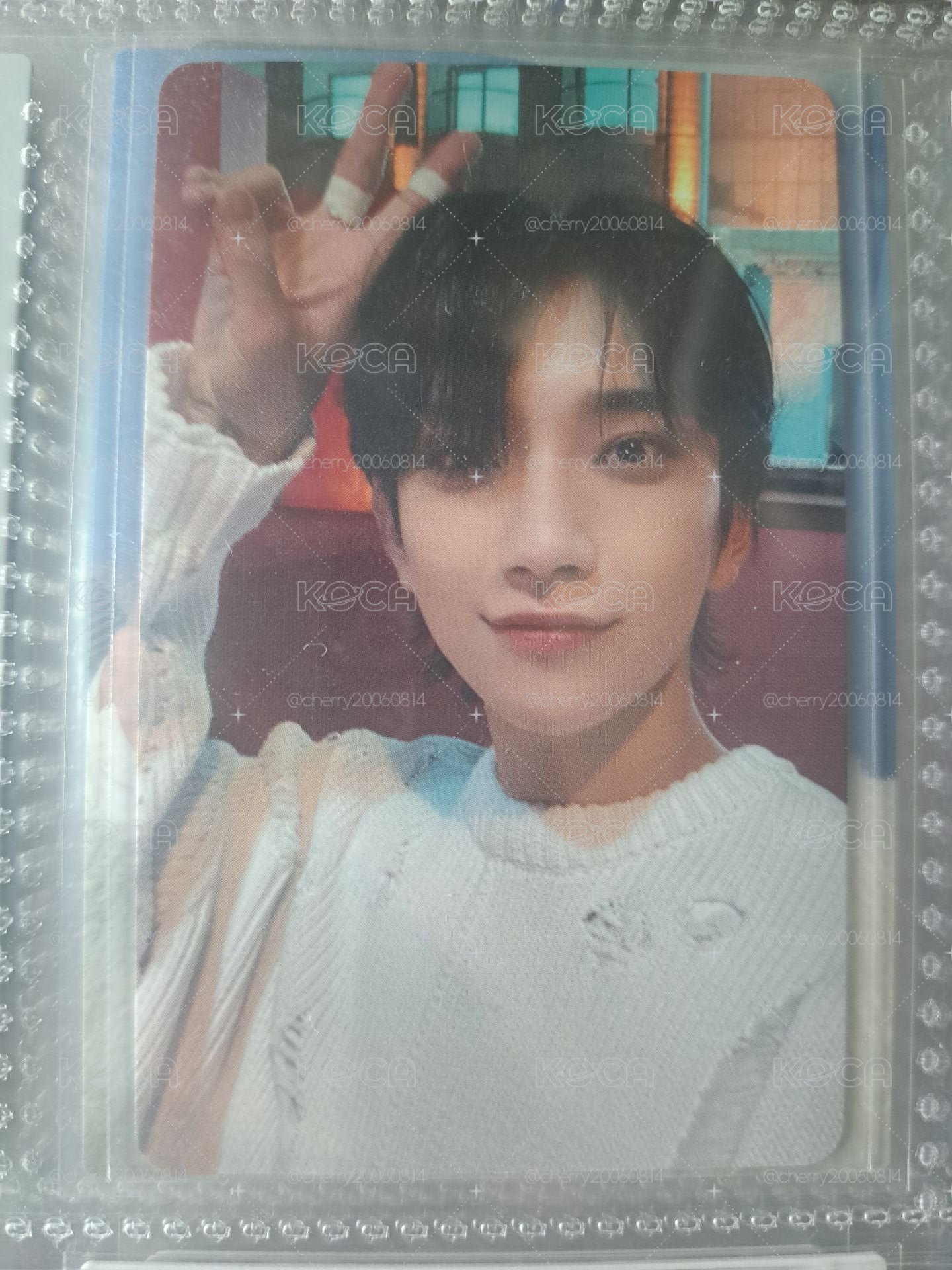 Search image