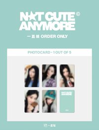 NOT CUTE ANYMORE Yzy楓葉ver.