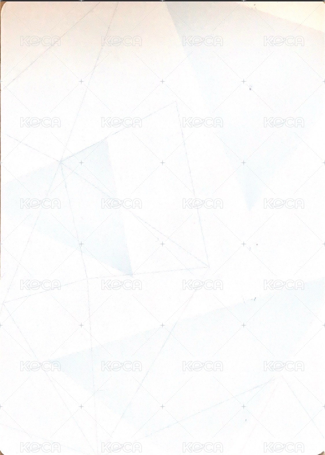 隨機卡 劇場版閃卡 背面