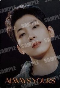 萬代聯名 周邊卡 威化餅乾卡