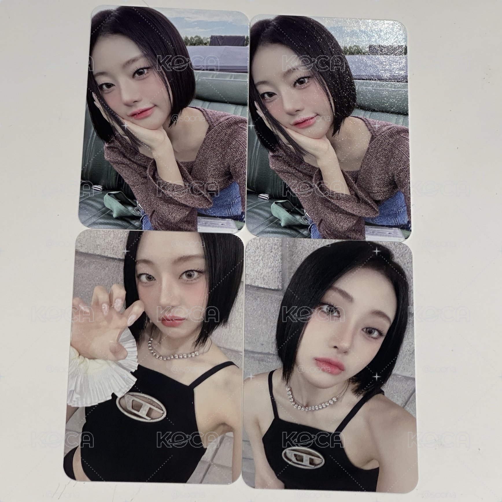 貓爪娟