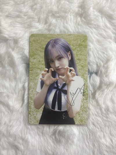 需多帶 Liz 栗子 DICON kkt A版 特典卡 