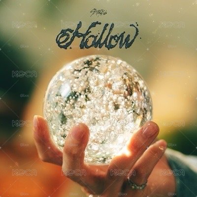 Hollow 通常盤 未拆專