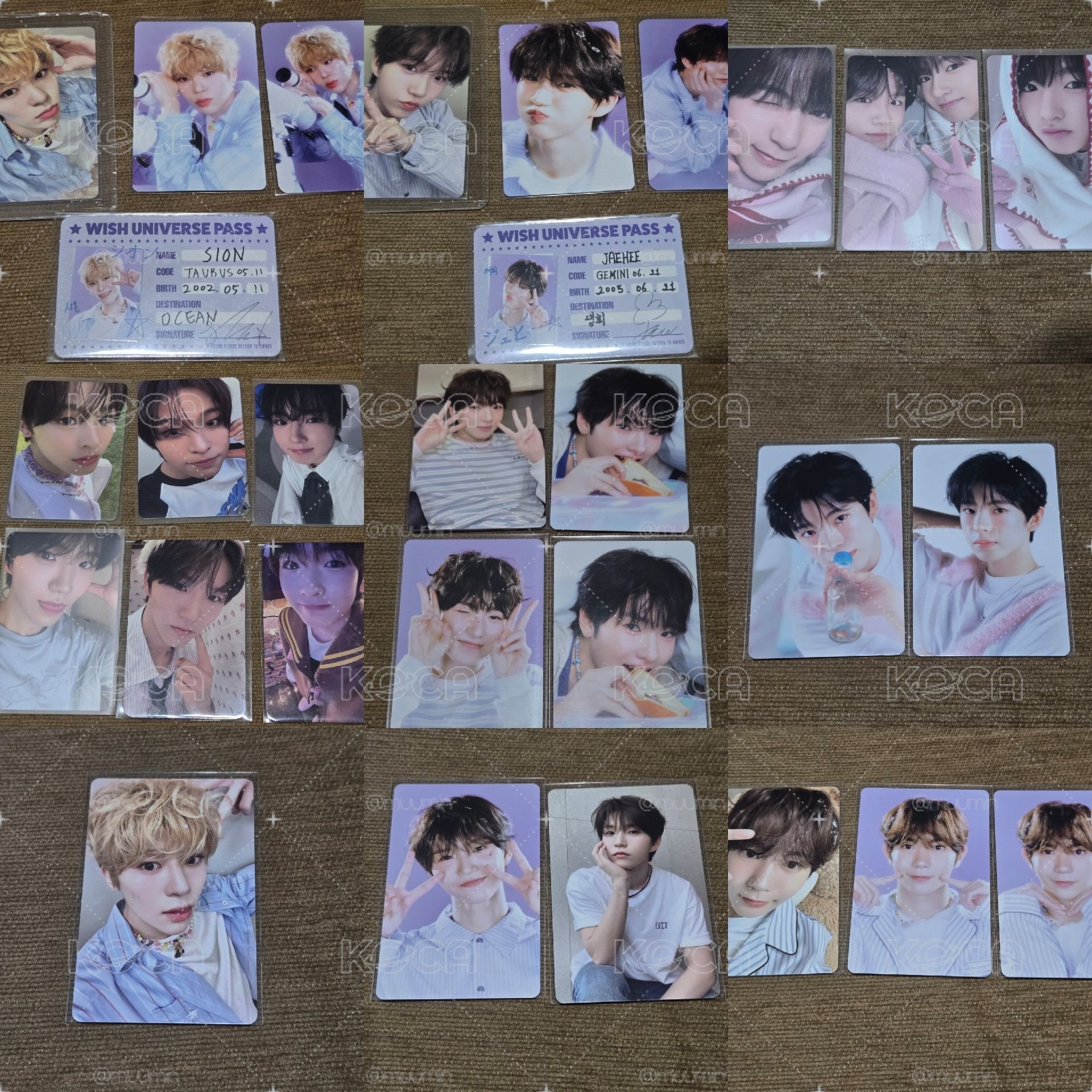 現貨 NCT WISH 小卡