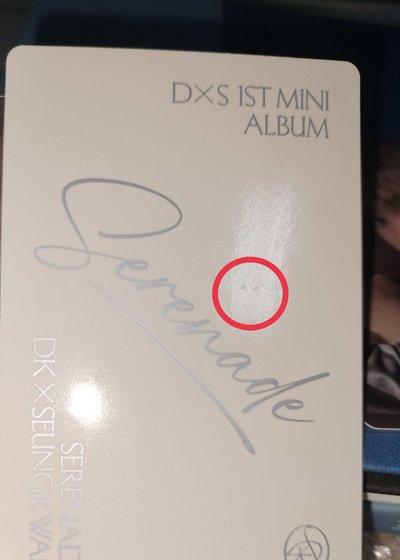 DXS ECHO ver. 碩全專