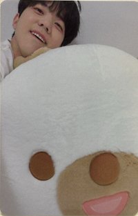 EOD 迷二 wd 周邊卡 卡冊卡