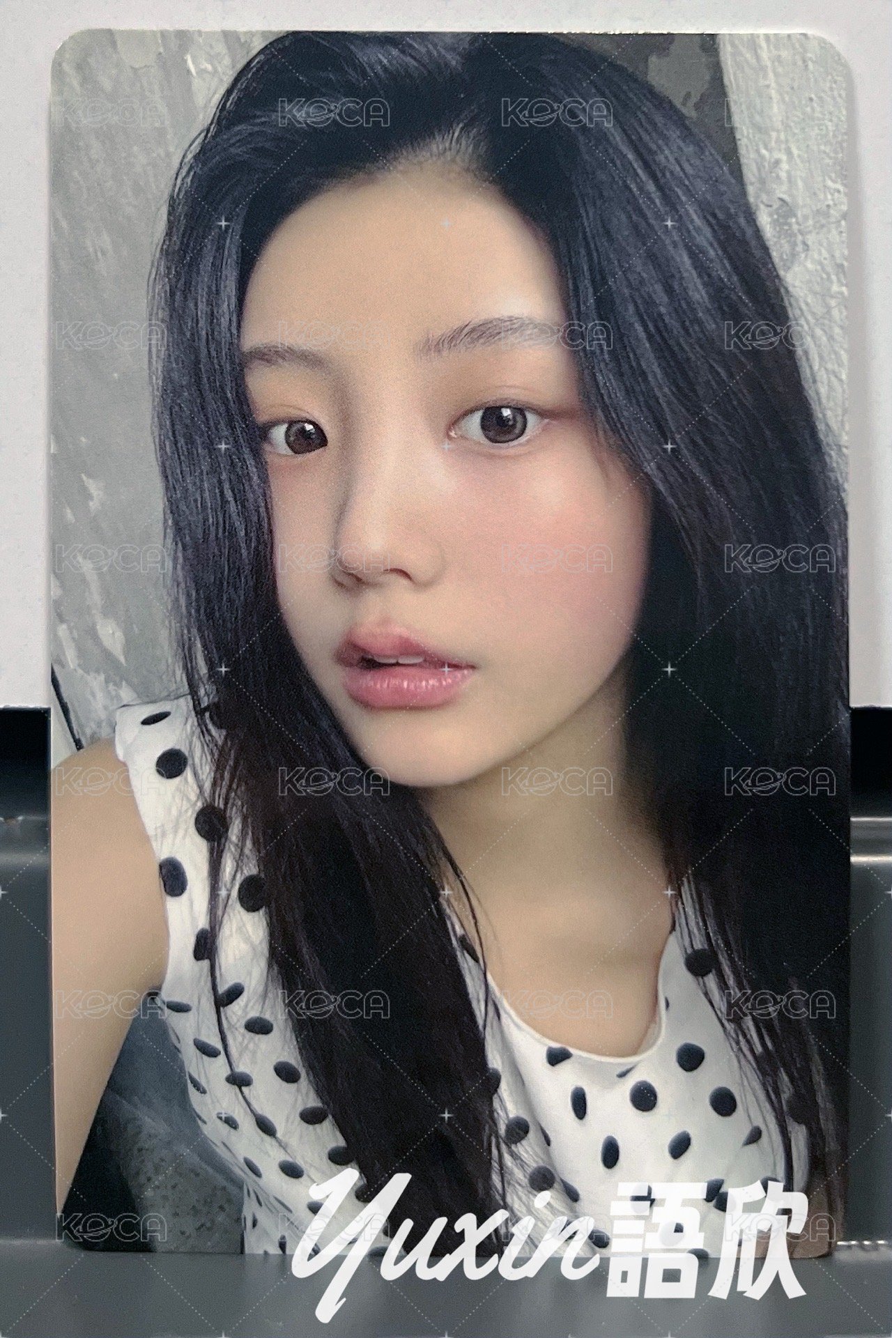 沅禧