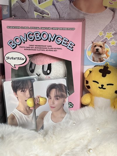 SEVENTEEN DINO🦖克拉盤小卡