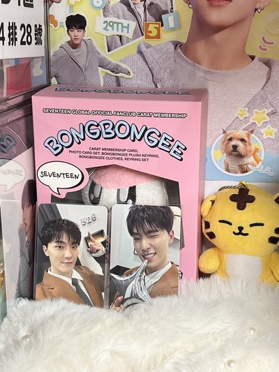 SEVENTEEN DINO🦖克拉盤小卡