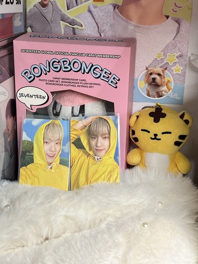 SEVENTEEN DINO🦖克拉盤小卡