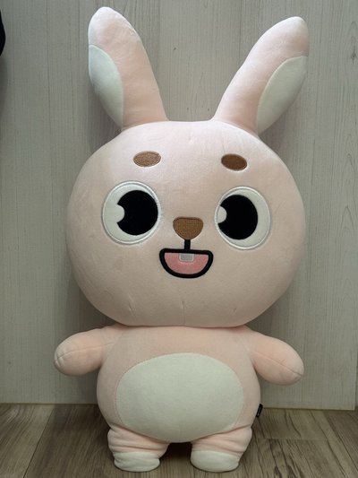 PIL 巨娃（含拍立得）