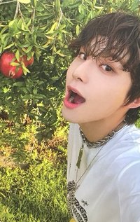 Ay-Yo 專輯卡 A ver.