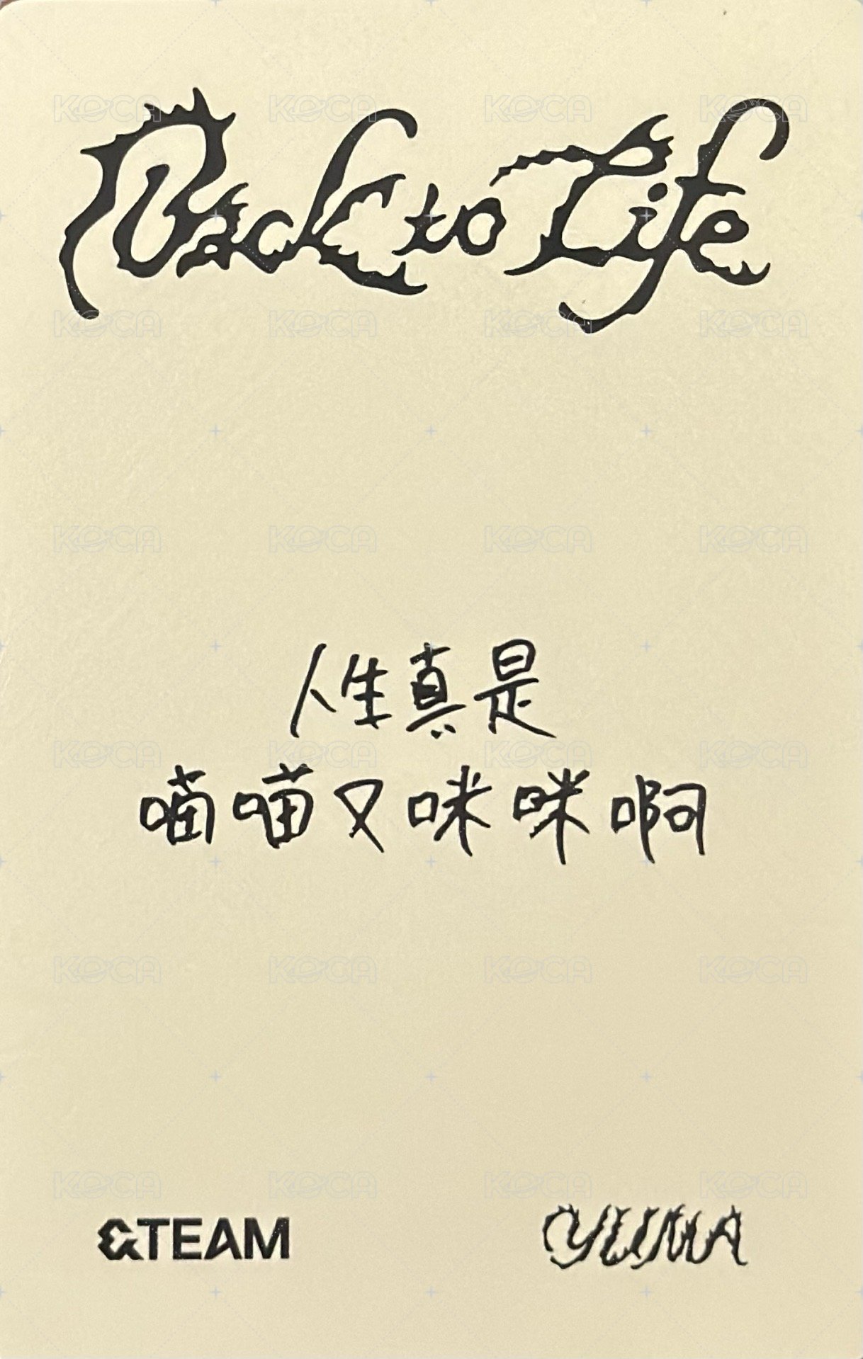 BTL yzy 2.0 幸運卡  背面