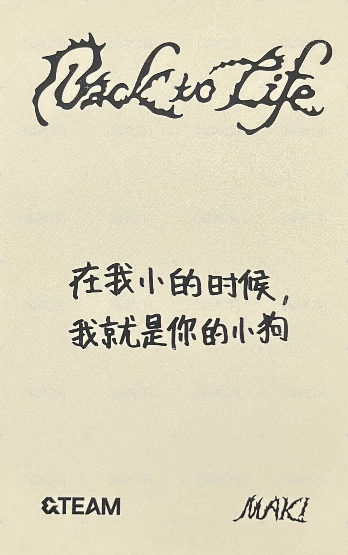 BTL yzy 2.0 幸運卡  背面