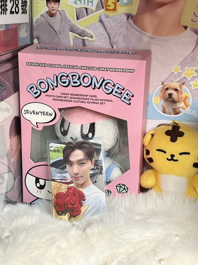 SEVENTEEN DINO🦖特典 專卡🫧