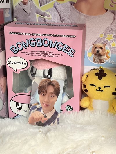 SEVENTEEN DINO🦖特典 專卡🫧