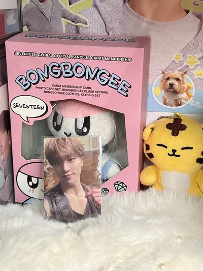 SEVENTEEN DINO🦖特典 專卡🫧