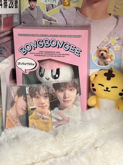 SEVENTEEN DINO🦖特典 專卡🫧