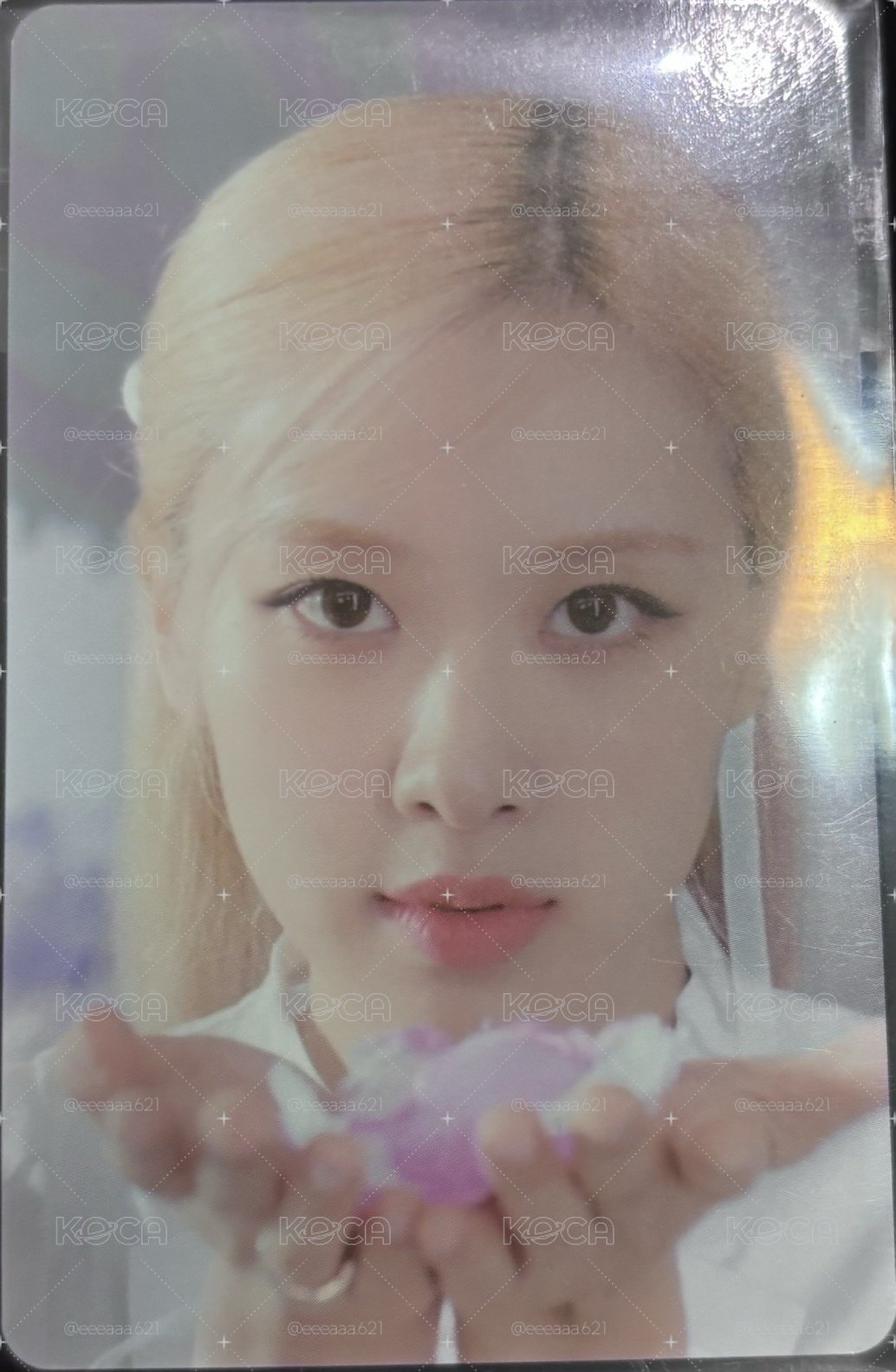 rosie 專輯卡 