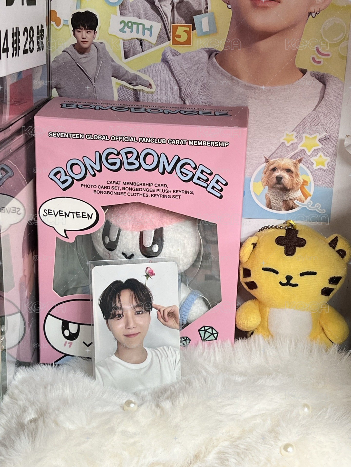 SEVENTEEN SEUNGKWAN🍊專輯小卡