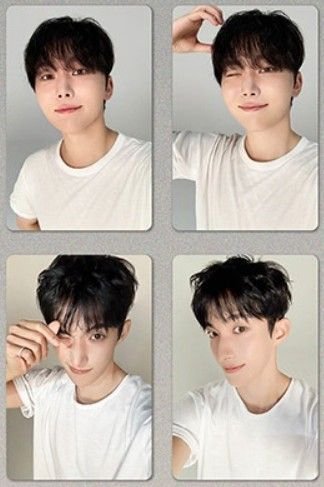 DxS 小夜曲 C盤 隨機卡