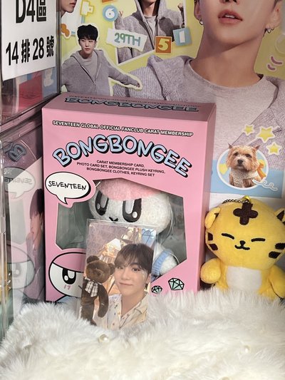 SEVENTEEN SEUNGKWAN🍊專輯小卡